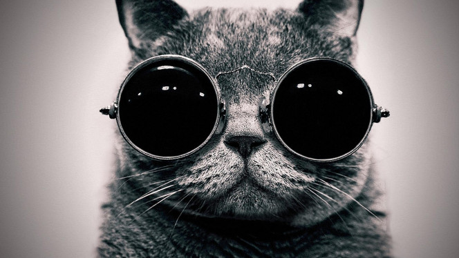 A Delicious image · #346