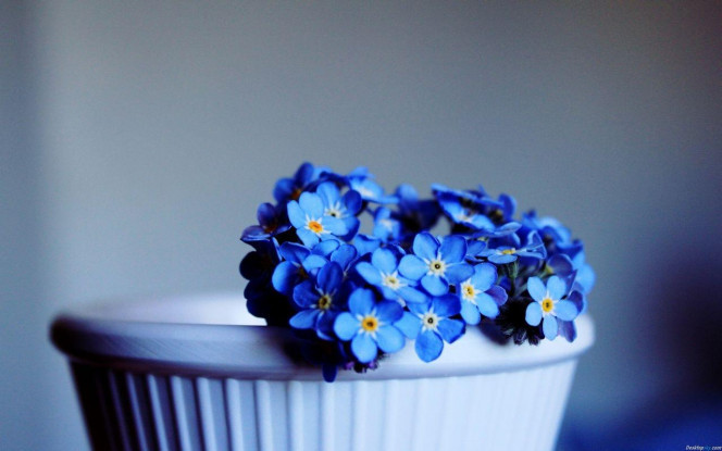 A Delicious image · #3561