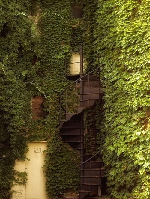 A Delicious image · #238