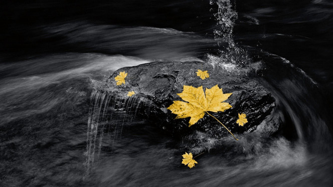 A Delicious image · #3313