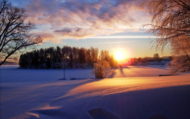 A Delicious image · #4307